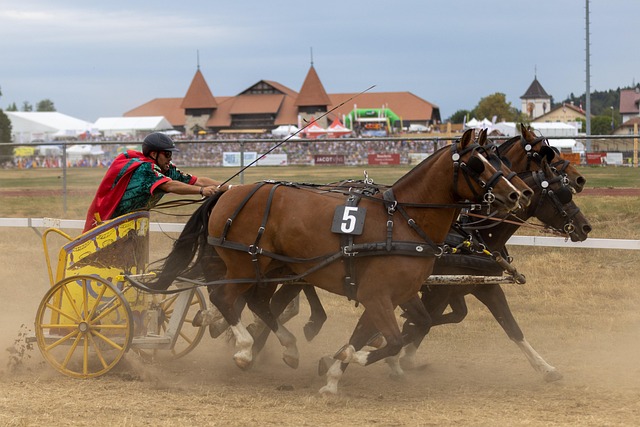 我不喜欢对 我不喜欢对