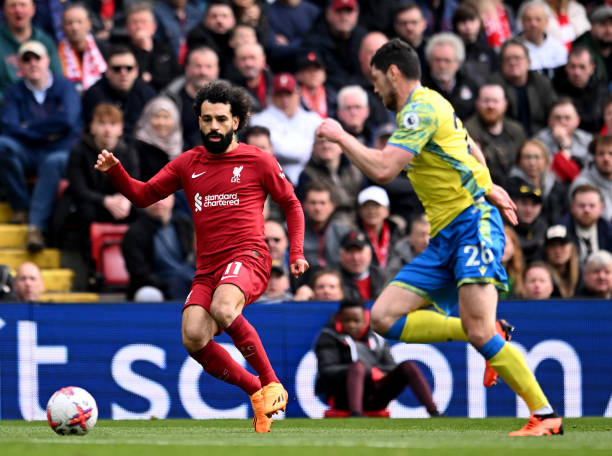 市场上积极 市场上积极